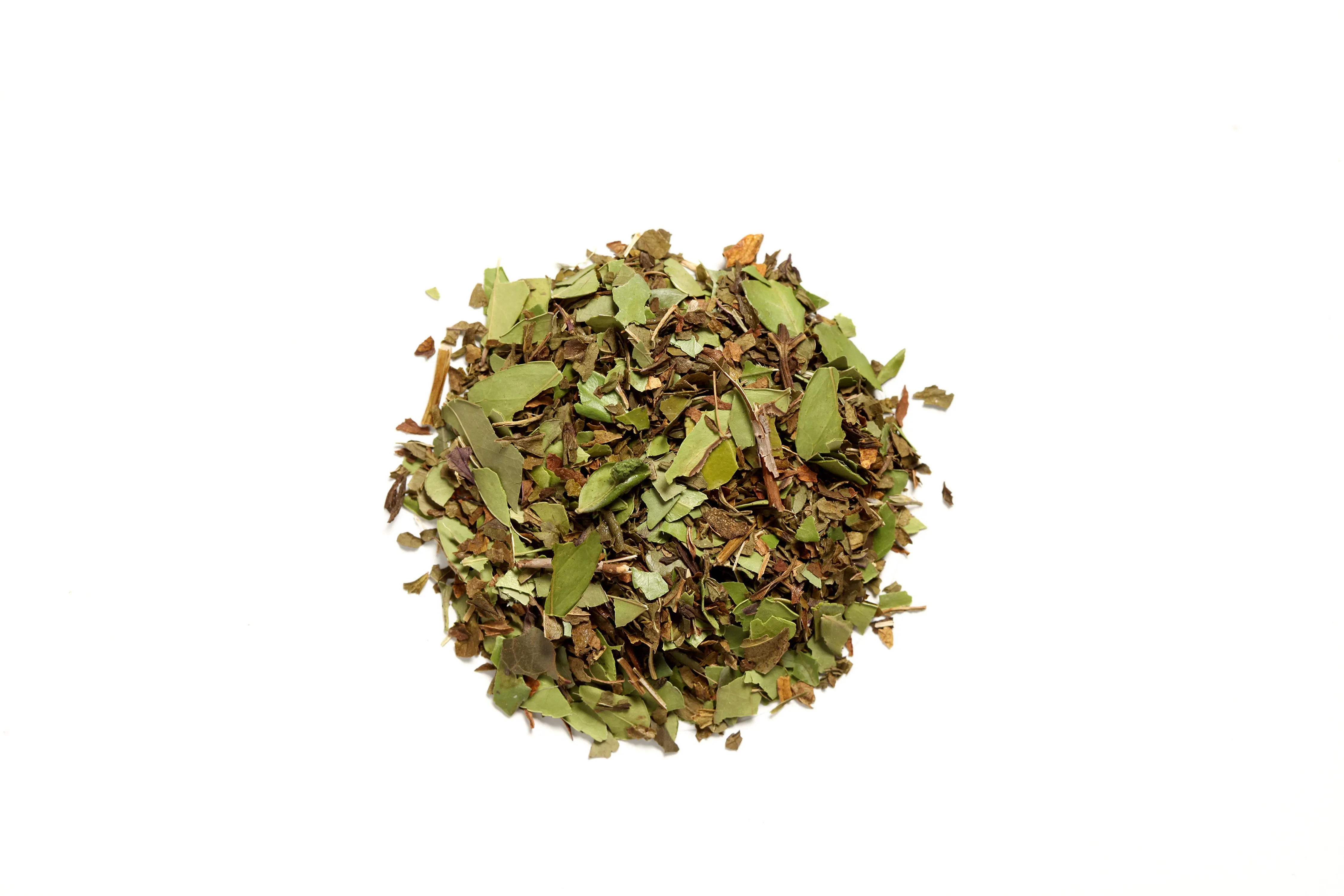Mint Revival Yaupon