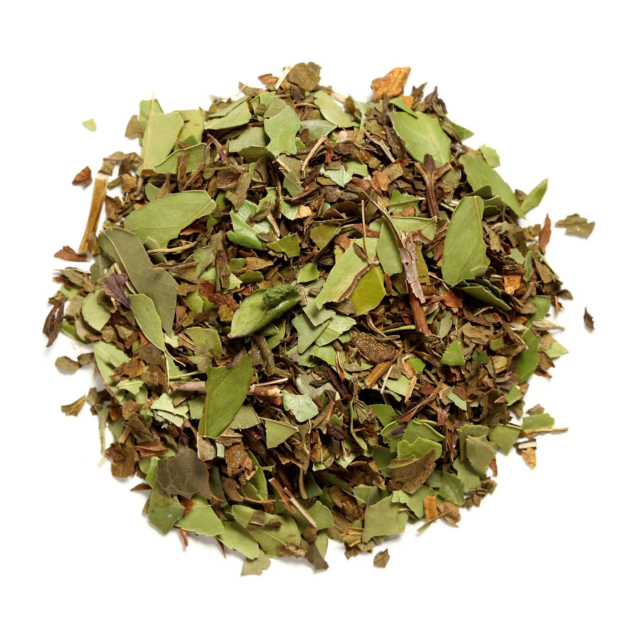 Mint Revival Yaupon